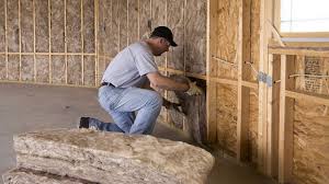 Best Wall Insulation Installation  in Englishtown, NJ